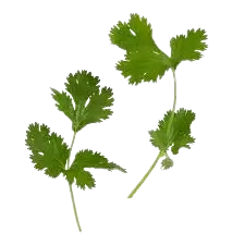 Secret menu 8 Cilantro 2