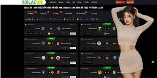 What Is Ty Le Keo? A Simple Guide for Sports Entertainment 1 image 3